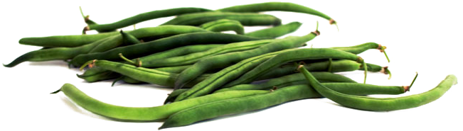 Green Beans Png Pic - Green Beans Png (700x241), Png Download