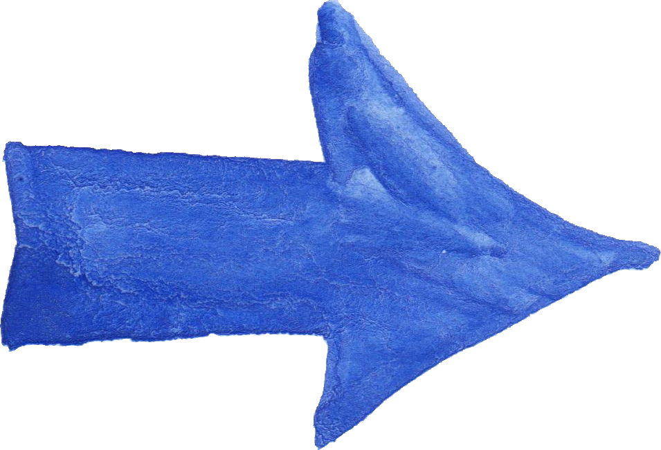 Free Download - Shark (955x651), Png Download