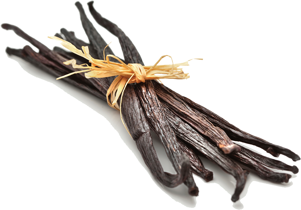 Vanilla Bean Png Photos - Vanilla Bean Png (1024x1024), Png Download
