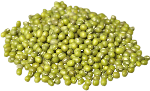 Mung Bean - Food To Live Mung Beans (10 Pounds) (500x500), Png Download