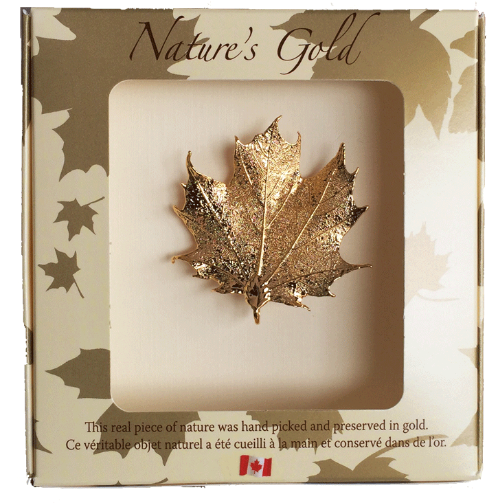 Maple Leaf Brooch - Bronze Canadian Maple Leaf Brooches (480x480), Png Download