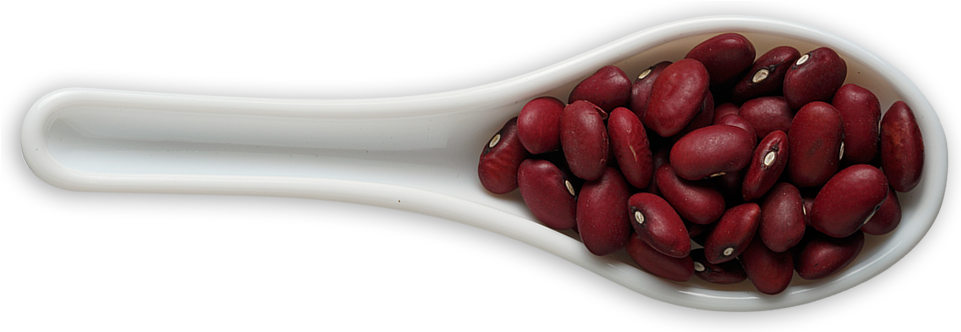 Beans Png Transparent Images Pluspng Red - Common Bean (960x350), Png Download