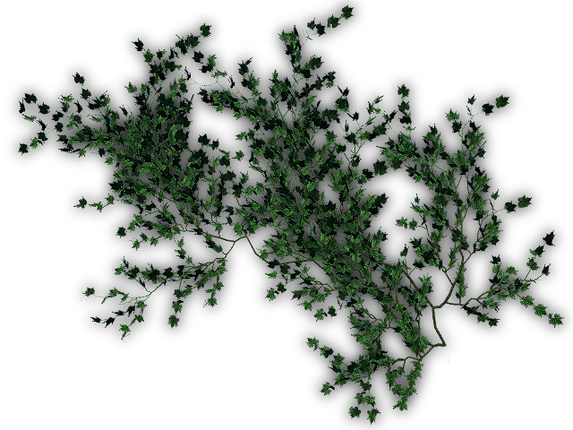 374k Creepers G - Dundjinni Ivy (640x480), Png Download