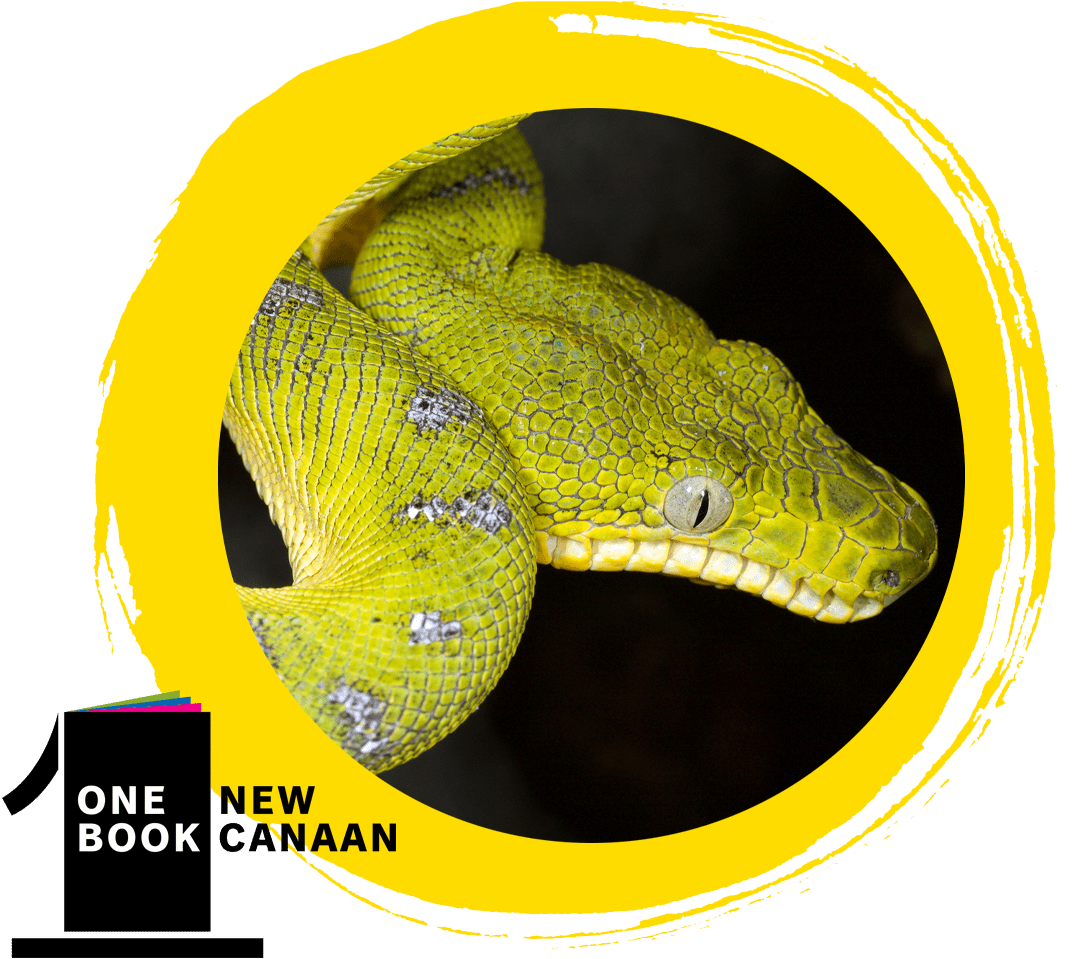 Encounter Some Creepy-looking Creatures - Burmese Python (1165x1014), Png Download