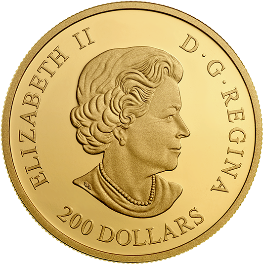 142633 Obv-570 - 2013 Gold 150 Dollar Coin - Year (570x570), Png Download