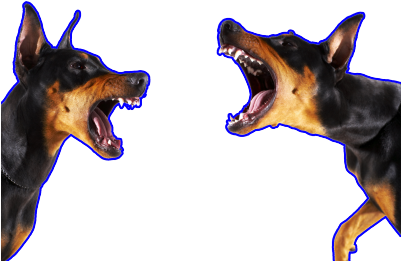 Barking Doberman (400x400), Png Download