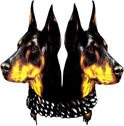 Previous 1/3 Next - Lima (400x409), Png Download