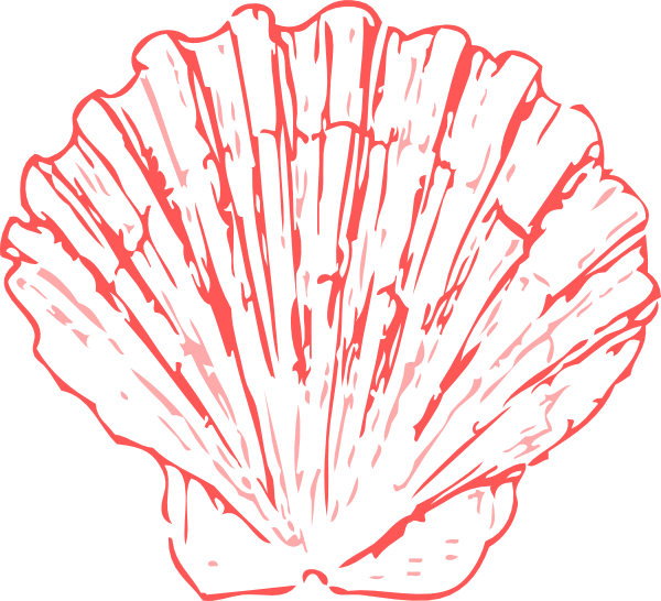 28 Collection Of Sea Shells Clipart Png - Shells Png (600x546), Png Download