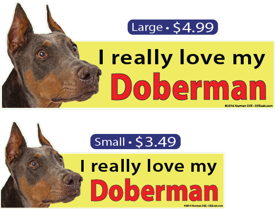 I Love My Doberman - Dog (562x426), Png Download