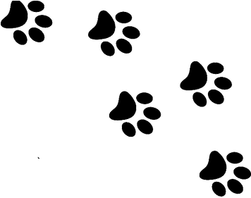 Cat Paw Print Png - Cat Paw Prints Transparent (355x355), Png Download