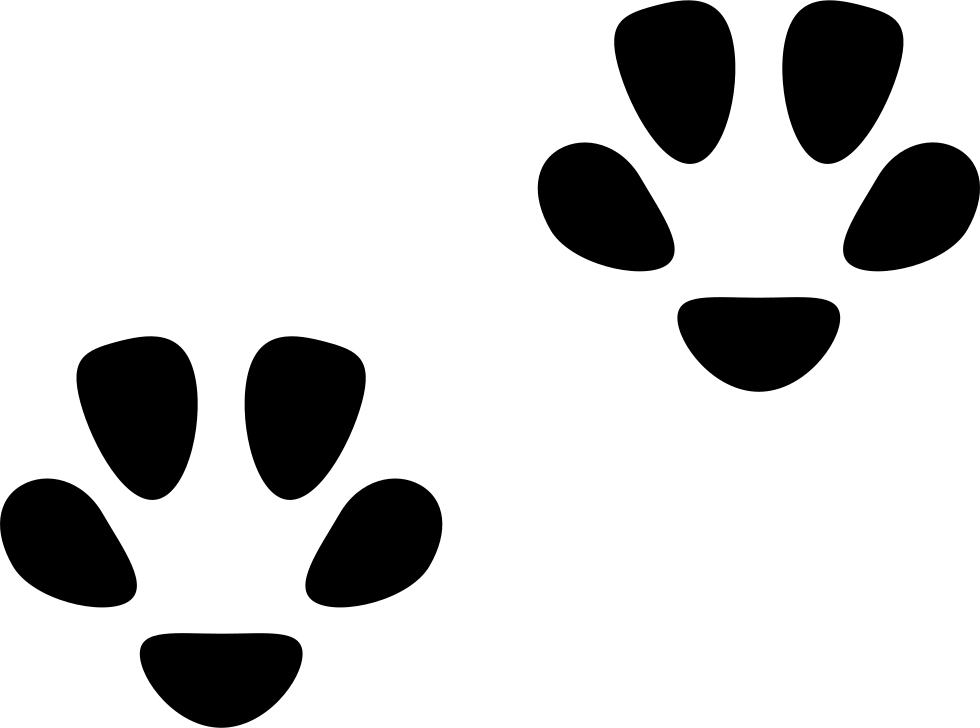 Pawprints - - Huellas De Gato Jpg (980x728), Png Download