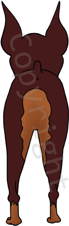 Big Nose Doberman Shirts - Dobermann (400x518), Png Download