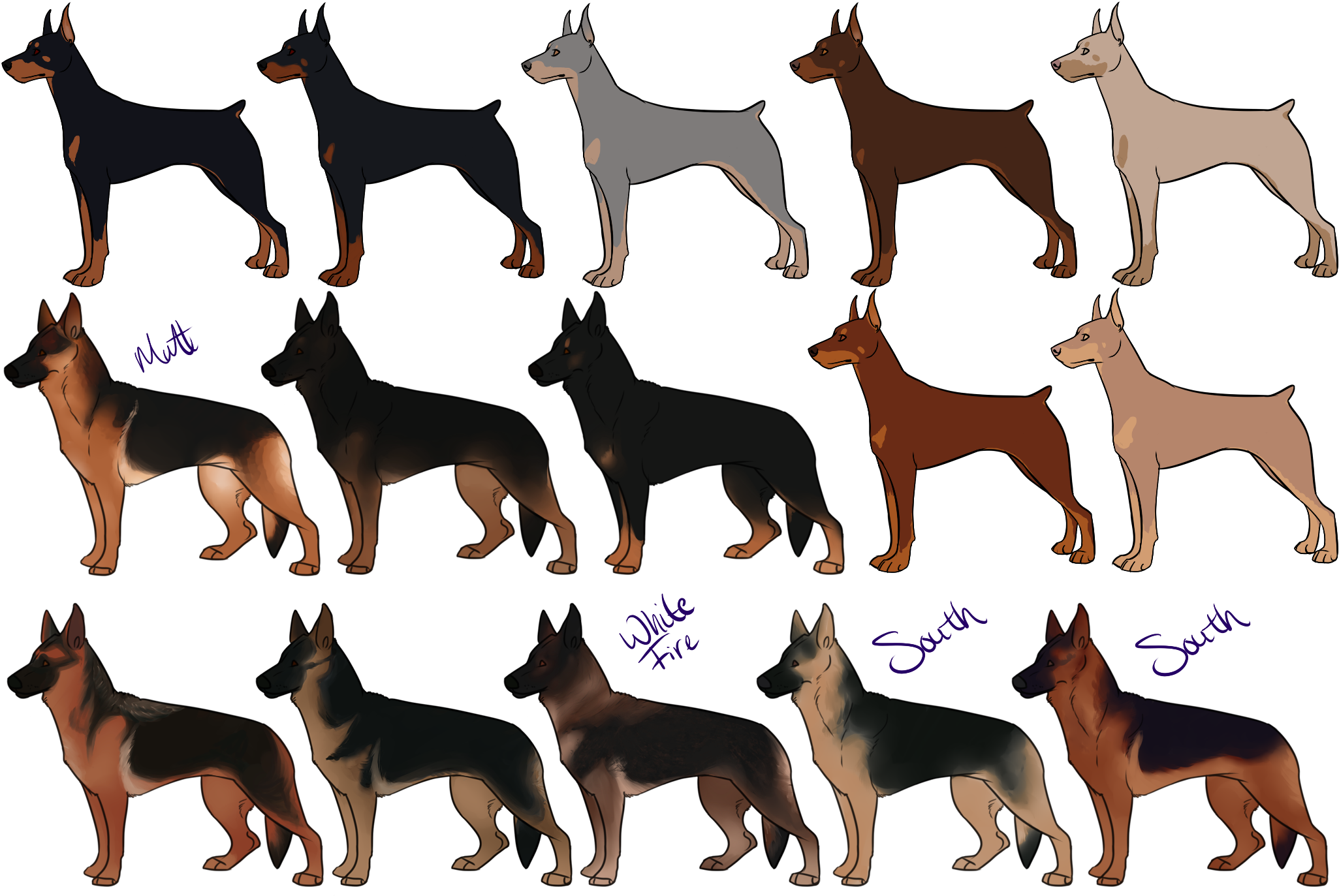 Drawn German Pinscher Deviantart - Doberman Pinscher German Pinscher (1047x763), Png Download