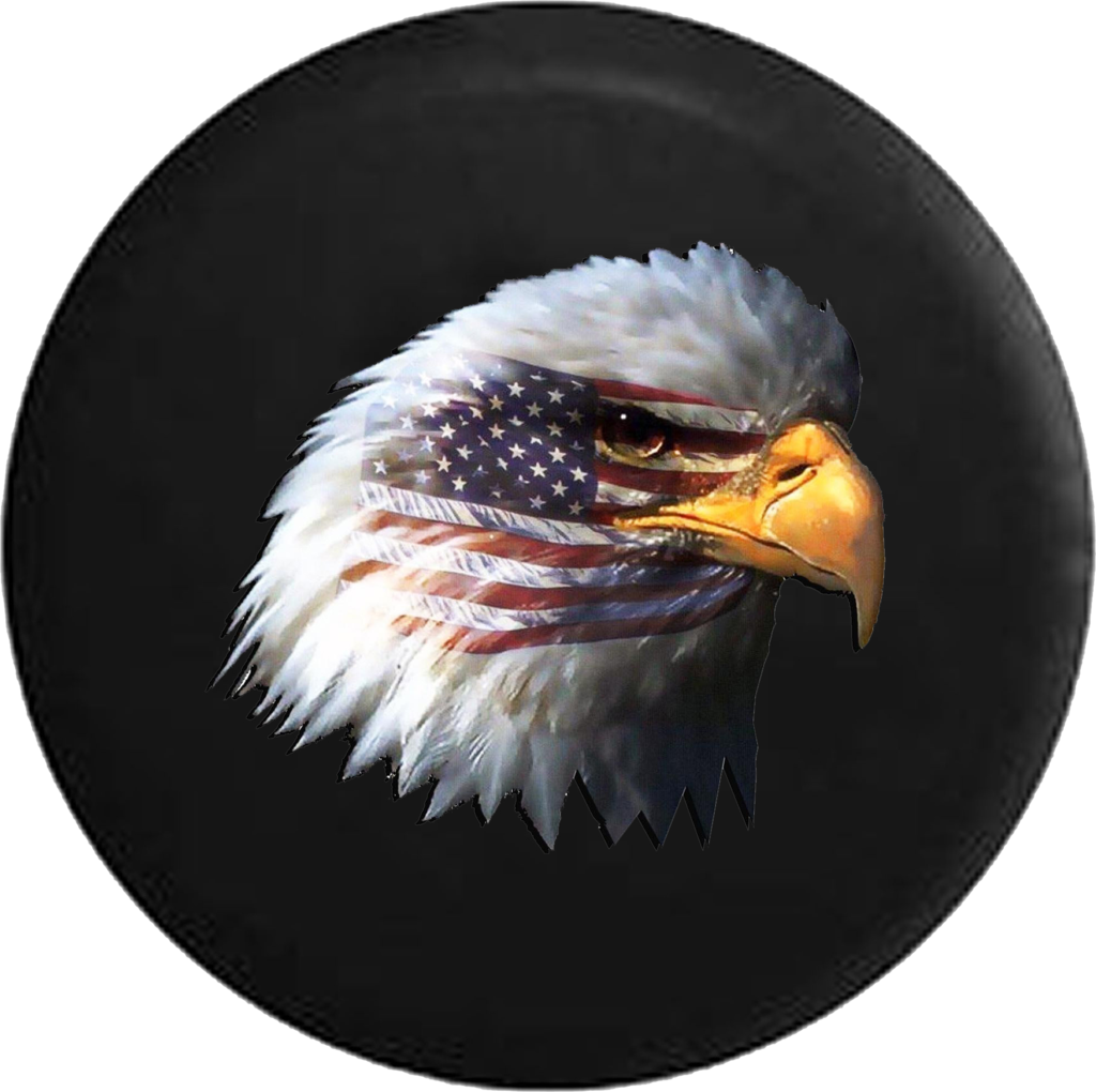 Waving American Flag And Bald Eagle Jeep Camper Spare - America: Ventura Highway Cd (1024x1020), Png Download