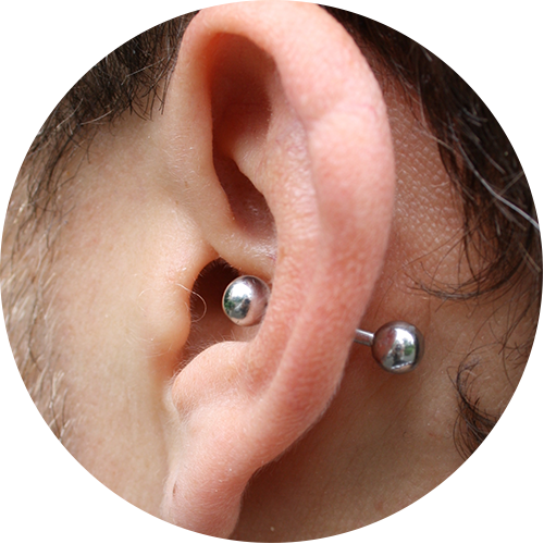 Section Featured Image - Conch Piercing (500x500), Png Download