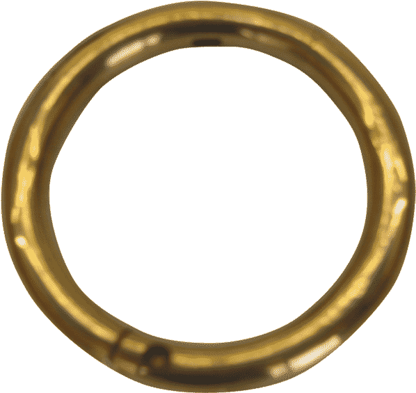 Nose Ring Png - Cow Nose Ring Png (750x686), Png Download