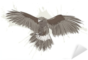 Sketch (400x400), Png Download