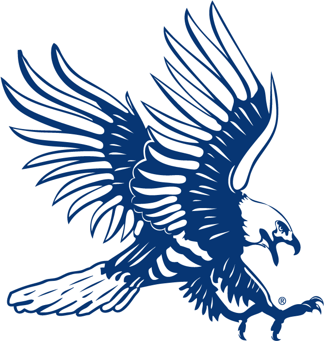 Athletic Hawk Outline Blue - Dickinson State University (720x720), Png Download