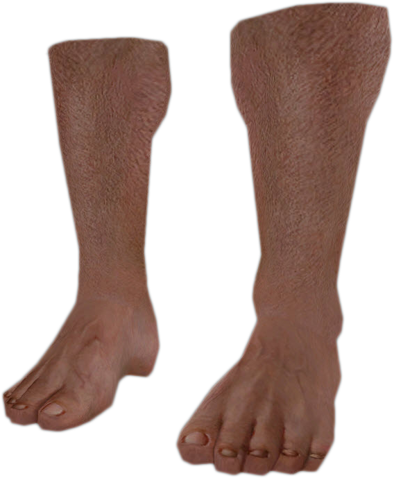 Dead Rising Bare Feet (568x689), Png Download