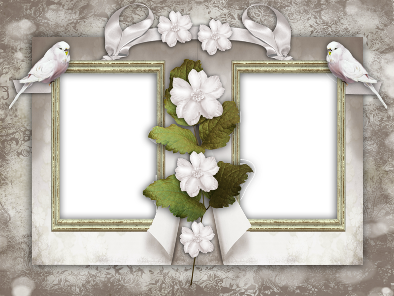 Nice Frames (800x600), Png Download