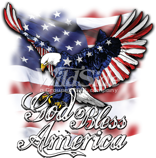 God Bless America - God Bless America Flag Eagle (675x675), Png Download