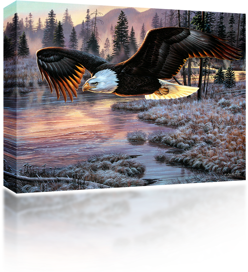 American Eagle - Northern Promotions Framed Art - Dawn's Early Flight (1024x1024), Png Download