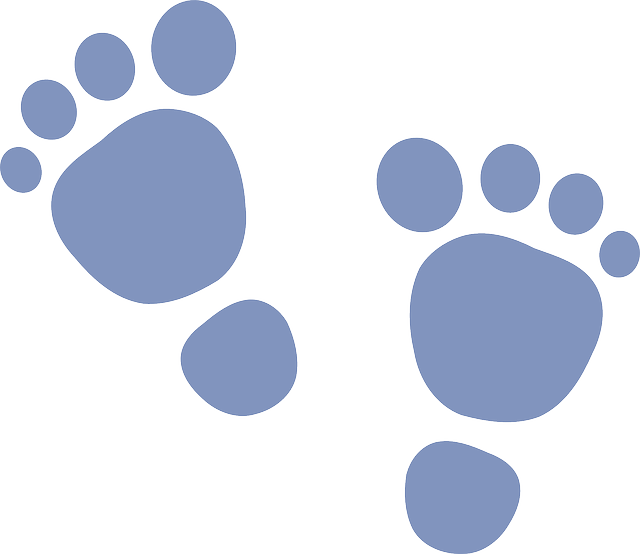 Baby, Monkey, Blue, Outline, Symbol, Hand, Boy, Feet - Baby Feet Clip Art (640x554), Png Download