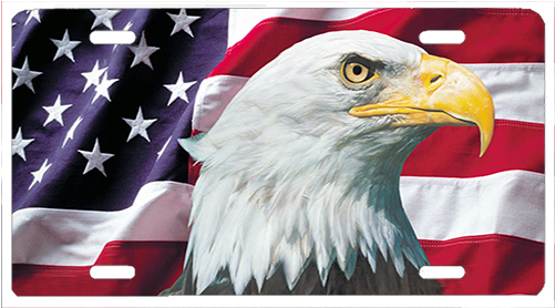 American-eagle - License Plate Usa Eagle Flag (500x400), Png Download