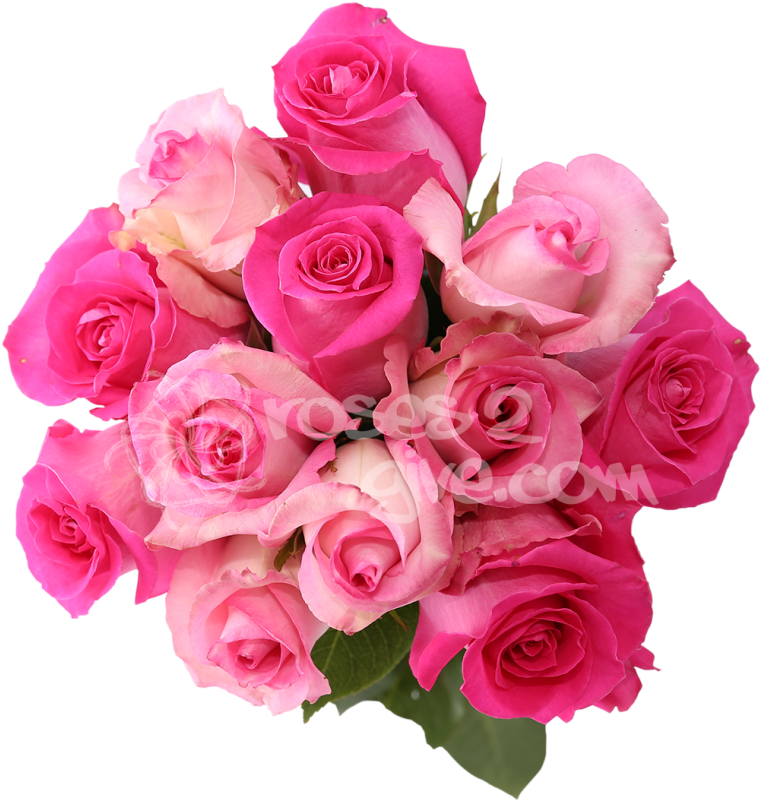 Pink Wedding Flowers Png Related - Fuschia Pink Flower Bouquet Png (800x800), Png Download