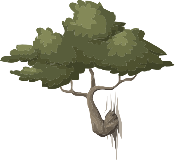 How To Set Use Mountain Bonsai Clipart (600x549), Png Download