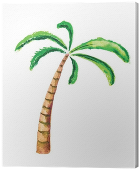 Palm Tree, Watercolour Vector Illustration Canvas Print - Kolay Palmiye Ağacı Çizimi (400x400), Png Download