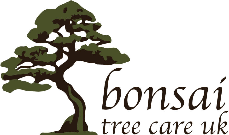 Bonsai Tree Care - Illustration (987x596), Png Download