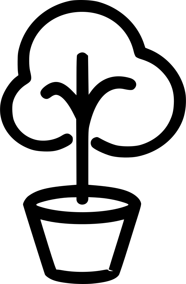 Bonsai Tree Plant Green Comments - Bonsai (642x980), Png Download