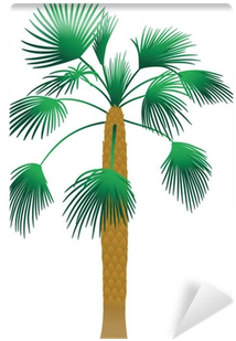 Attalea Speciosa (400x400), Png Download