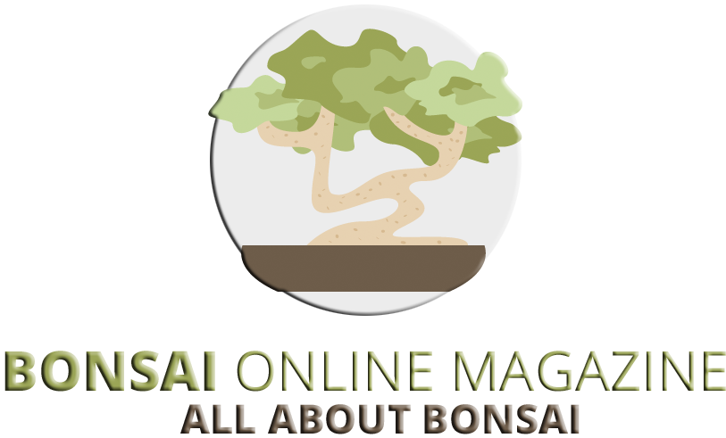 Bonsai Online Business Magazine - Information (818x509), Png Download