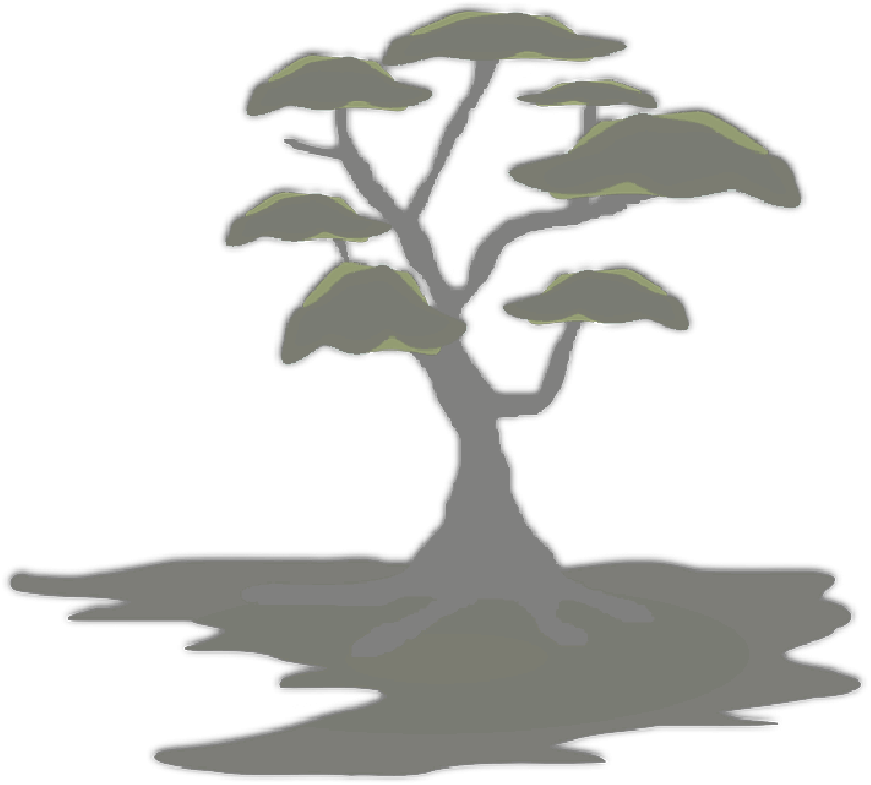 Mb Image/png - Silhouette Bonsai Tree Png (800x721), Png Download