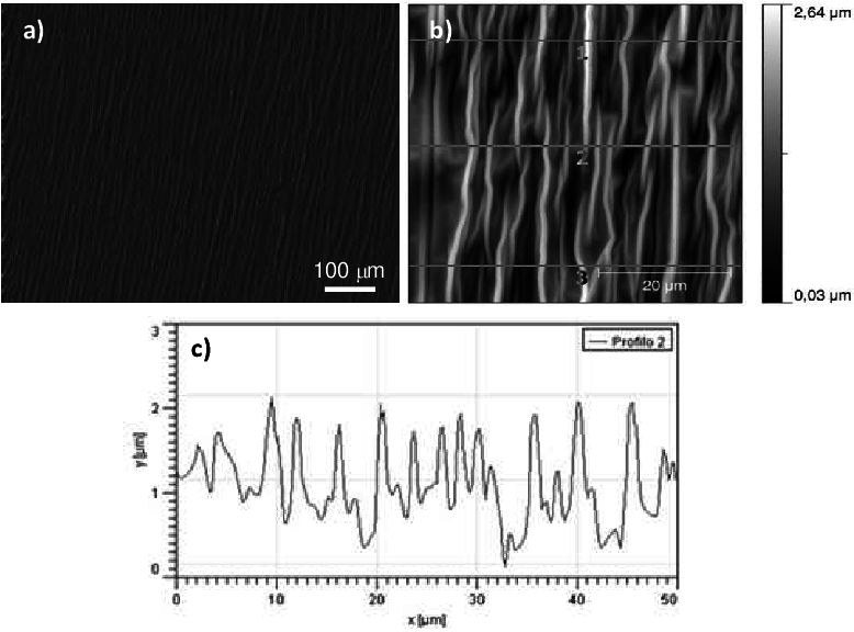Microscopic Characterization Of Nano-wrinkles By Means - Atomic Force Microscopy (778x576), Png Download