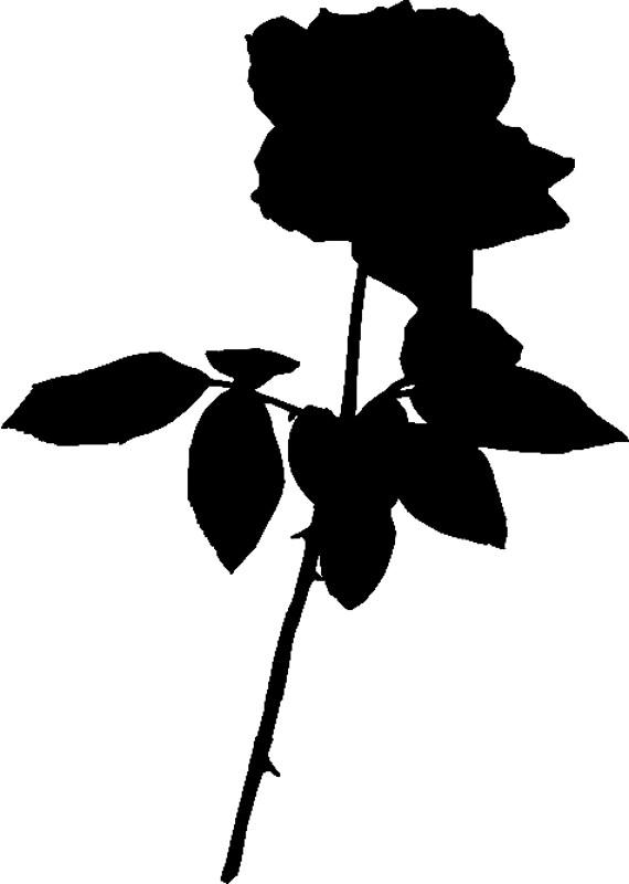 Rose Silhouette By Clipartcotttage On Clipart Library - Black Rose Silhouette Png (570x800), Png Download