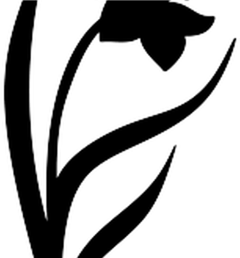 Flower Silhouette Svg Best Flowers And Rose - Flower (1368x855), Png Download