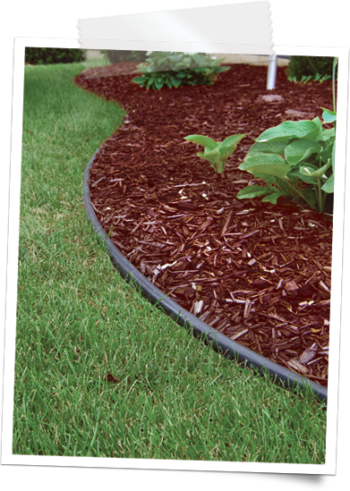 Lawn Clipart Grass Edge Pocono Mountains Full Size Png Download Seekpng