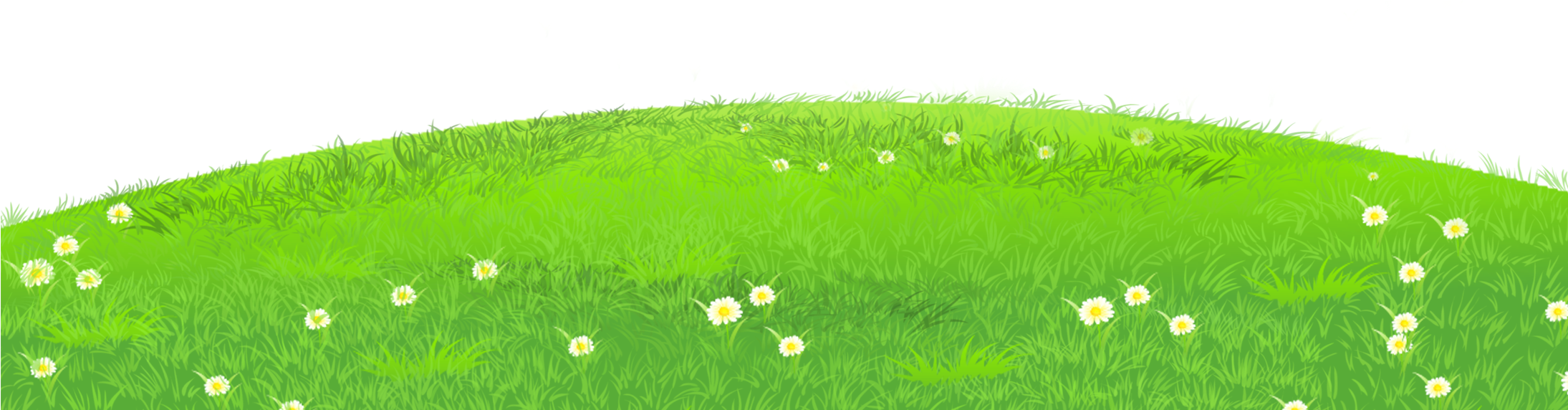 Grass With Daisies Png Clipart - Grass Png Clipart (2188x606), Png Download
