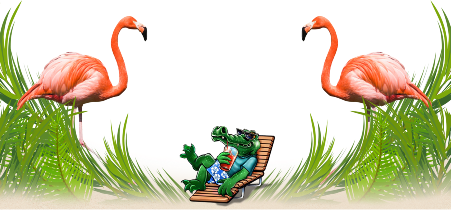 Whiskey Joes Clipart Whiskey Joes Grasses - Flamingo Portrait On White Background (birds (900x419), Png Download