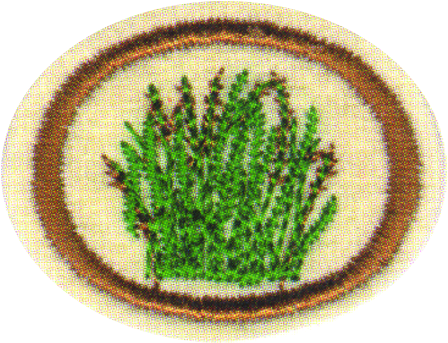 13, 26 July 2012 - Thumbnail (471x350), Png Download