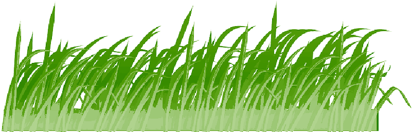 Mb Image/png - Grass Cartoon Transparent (800x400), Png Download