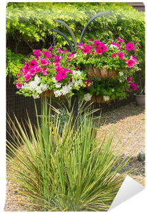 Hanging Basket Petunias Ornamental Grasses Wall Mural - Petunia (400x400), Png Download