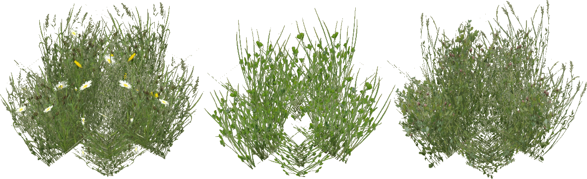 Grass Slice - Sweet Grass (1183x361), Png Download