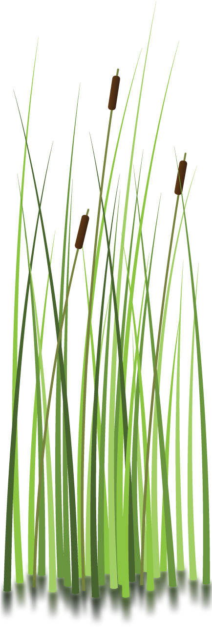 Moore Haven (433x1300), Png Download