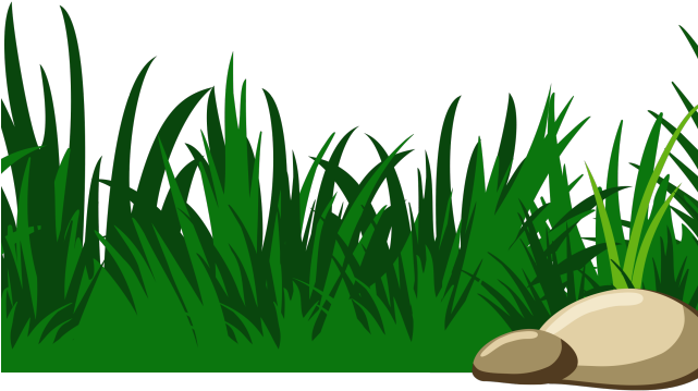 Grass Clipart - Clear Background Grass Clipart (640x480), Png Download