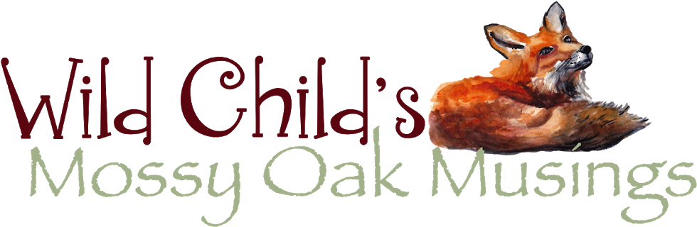 Wild Child's Mossy Oak Musings - Moon Child Quotes (1070x343), Png Download