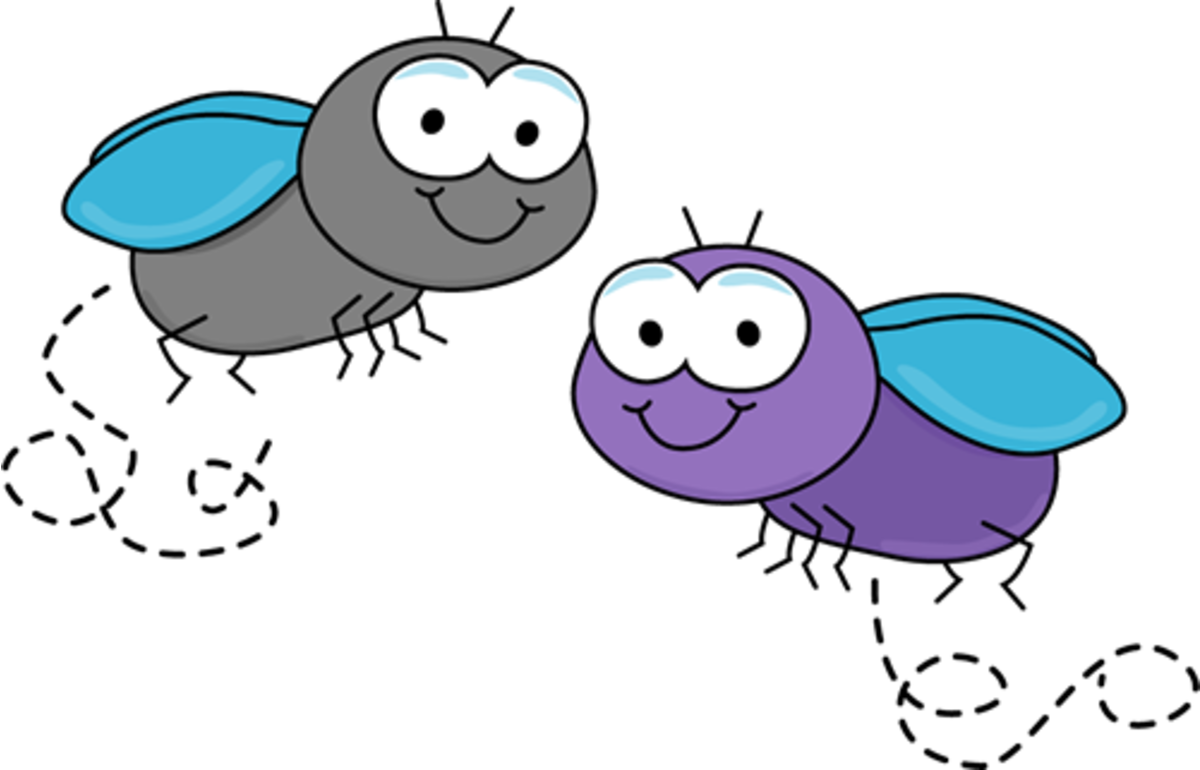 Fly Clipart Png - Flies Clipart (500x321), Png Download